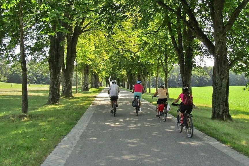 Radtour auf Radweg Radfahrer auf Radweg im Grünen