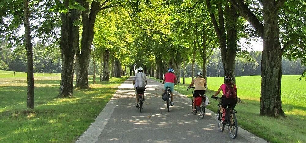 Radfahrer auf Radweg im Grünen